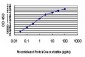 TRIM33 Antibody (monoclonal) (M01)